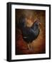 Black Bantam Chicken-Jai Johnson-Framed Giclee Print
