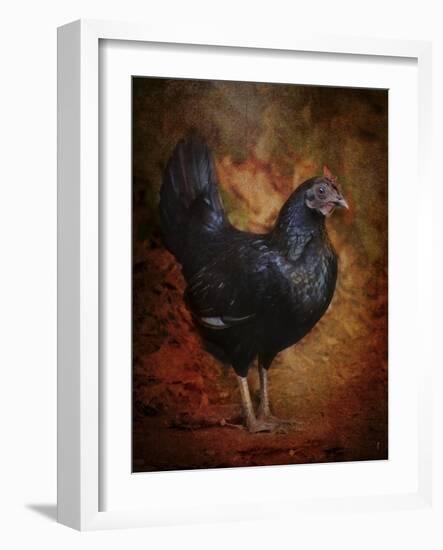 Black Bantam Chicken-Jai Johnson-Framed Giclee Print