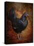 Black Bantam Chicken-Jai Johnson-Stretched Canvas