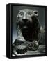 Black Basalt Statue Depicting Lion, from Byblos-null-Framed Stretched Canvas