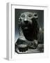 Black Basalt Statue Depicting Lion, from Byblos-null-Framed Giclee Print