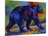 Black Bear 3-Marion Rose-Mounted Giclee Print