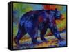 Black Bear 3-Marion Rose-Framed Stretched Canvas