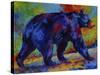 Black Bear 3-Marion Rose-Stretched Canvas