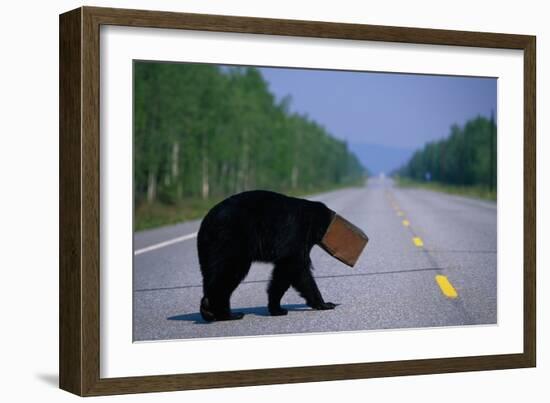 Black Bear Crossing Highway-Paul Souders-Framed Photographic Print