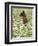 Black Bear Cub Among Oxeye Daisy, in Captivity, Sandstone, Minnesota, USA-James Hager-Framed Photographic Print