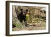 Black Bear Cub by a Tree-MichaelRiggs-Framed Photographic Print