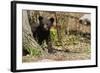 Black Bear Cub by a Tree-MichaelRiggs-Framed Photographic Print