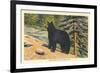 Black Bear, Glacier Park, Montana-null-Framed Premium Giclee Print