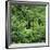 Black Bear Hiding in Forest-DLILLC-Framed Photographic Print