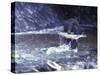 Black Bear Holds Chum Salmon, near Ketchikan, Alaska, USA-Howie Garber-Stretched Canvas