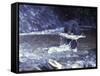 Black Bear Holds Chum Salmon, near Ketchikan, Alaska, USA-Howie Garber-Framed Stretched Canvas