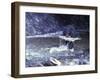 Black Bear Holds Chum Salmon, near Ketchikan, Alaska, USA-Howie Garber-Framed Premium Photographic Print