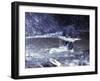 Black Bear Holds Chum Salmon, near Ketchikan, Alaska, USA-Howie Garber-Framed Premium Photographic Print