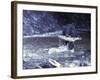 Black Bear Holds Chum Salmon, near Ketchikan, Alaska, USA-Howie Garber-Framed Photographic Print