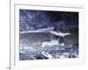 Black Bear Holds Chum Salmon, near Ketchikan, Alaska, USA-Howie Garber-Framed Photographic Print