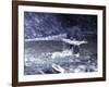 Black Bear Holds Chum Salmon, near Ketchikan, Alaska, USA-Howie Garber-Framed Photographic Print