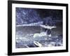 Black Bear Holds Chum Salmon, near Ketchikan, Alaska, USA-Howie Garber-Framed Photographic Print