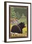 Black Bear in Forest, Denali National Park, Alaska-Lantern Press-Framed Art Print