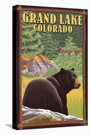 Black Bear in Forest - Grand Lake, Colorado-Lantern Press-Stretched Canvas