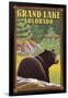 Black Bear in Forest - Grand Lake, Colorado-Lantern Press-Framed Art Print