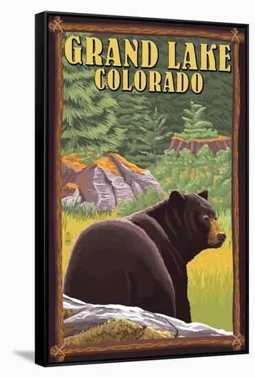 Black Bear in Forest - Grand Lake, Colorado-Lantern Press-Framed Stretched Canvas