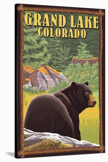 Black Bear in Forest - Grand Lake, Colorado-Lantern Press-Stretched Canvas