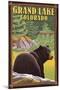 Black Bear in Forest - Grand Lake, Colorado-Lantern Press-Mounted Art Print