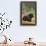 Black Bear in Forest, Idaho-Lantern Press-Framed Stretched Canvas displayed on a wall