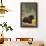 Black Bear in Forest, Idaho-Lantern Press-Framed Stretched Canvas displayed on a wall