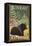 Black Bear in Forest, Juneau, Alaska-Lantern Press-Framed Stretched Canvas