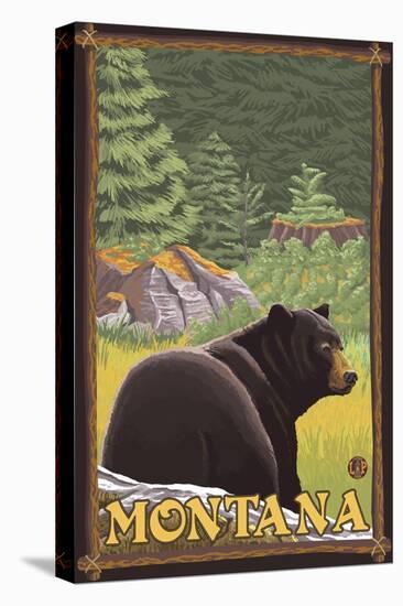 Black Bear in Forest, Montana-Lantern Press-Stretched Canvas