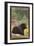 Black Bear in Forest, Mount Baker, Washington-Lantern Press-Framed Art Print