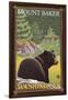 Black Bear in Forest, Mount Baker, Washington-Lantern Press-Framed Art Print