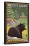 Black Bear in Forest, Mount Baker, Washington-Lantern Press-Stretched Canvas