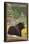 Black Bear in Forest, Mount Baker, Washington-Lantern Press-Stretched Canvas