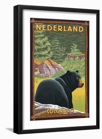 Black Bear in Forest - Nederland, Colorado-Lantern Press-Framed Art Print