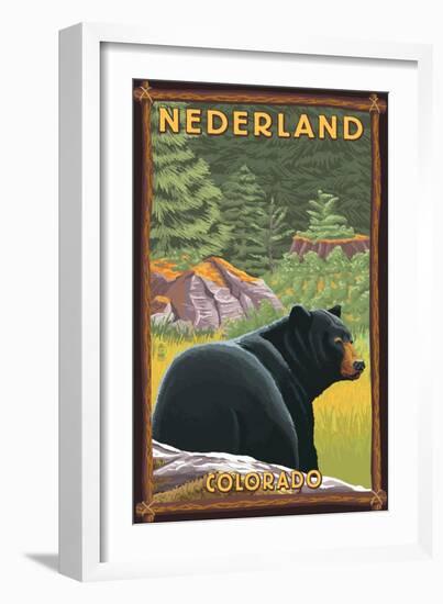 Black Bear in Forest - Nederland, Colorado-Lantern Press-Framed Art Print