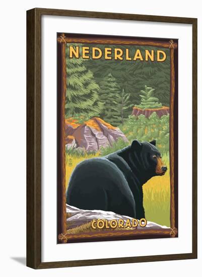 Black Bear in Forest - Nederland, Colorado-Lantern Press-Framed Art Print