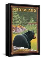 Black Bear in Forest - Nederland, Colorado-Lantern Press-Framed Stretched Canvas