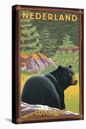 Black Bear in Forest - Nederland, Colorado-Lantern Press-Stretched Canvas