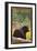 Black Bear in Forest - New Mexico-Lantern Press-Framed Art Print