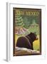 Black Bear in Forest - New Mexico-Lantern Press-Framed Art Print