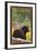 Black Bear in Forest - New Mexico-Lantern Press-Framed Art Print