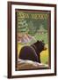 Black Bear in Forest - New Mexico-Lantern Press-Framed Art Print