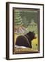 Black Bear in Forest, Olympic National Park, Washington-Lantern Press-Framed Art Print