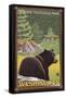 Black Bear in Forest, Olympic National Park, Washington-Lantern Press-Framed Stretched Canvas