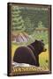 Black Bear in Forest, Olympic National Park, Washington-Lantern Press-Stretched Canvas