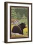Black Bear in Forest, Olympic National Park, Washington-Lantern Press-Framed Art Print