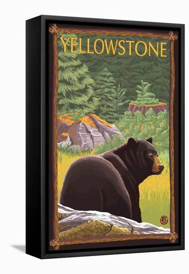Black Bear in Forest, Yellowstone National Park-Lantern Press-Framed Stretched Canvas
